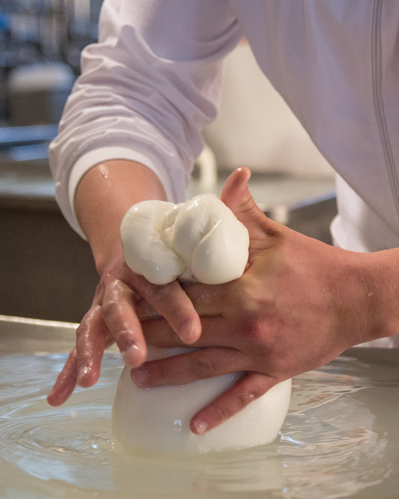 Annodamento della mozzarella
