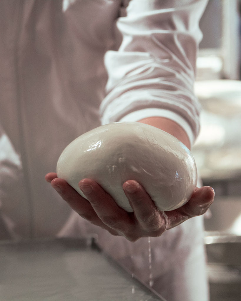 Lavorazione mozzarella